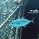 Gold-spotted Trevally