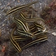 Striped Eel Catfish