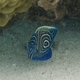 Emperor Angelfish (Juvenile)