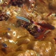 Wassinki Cardinalfish
