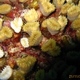 Bonaire corals etc to be identified